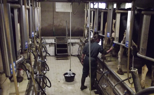 salle traite vache bio